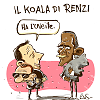 Il koala di Renzi ha l'uveite